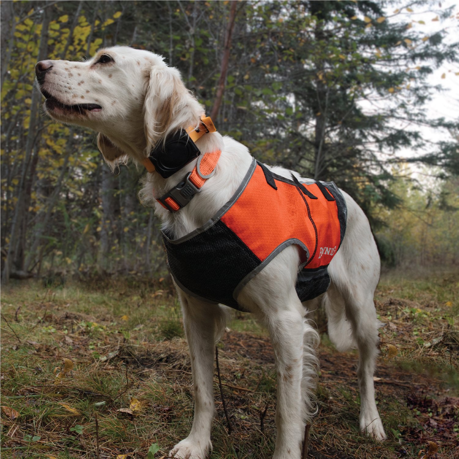 Browning Dog Vest Size Chart